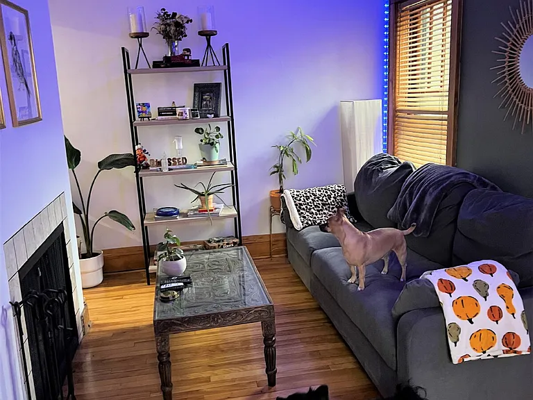 220 Marshall Ave #5 — Photo 4