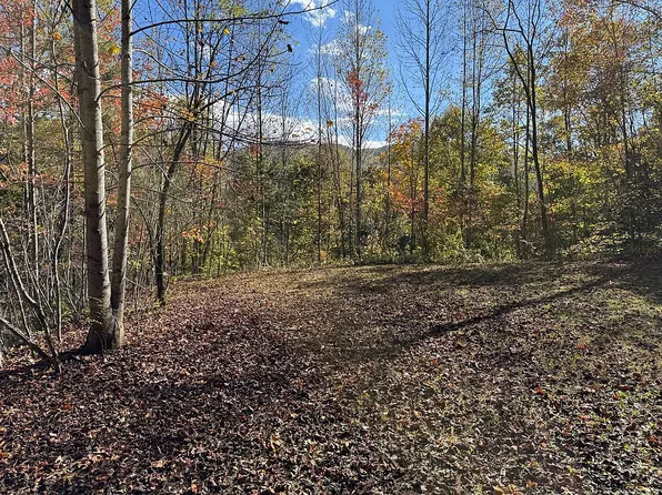 578 Whiteside Gap Road, Robbinsville, NC 28771