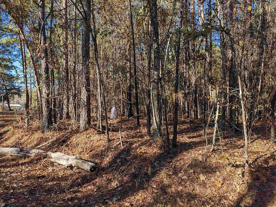 2nd image of Ouachita 387 Rd