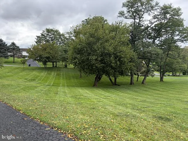 3 bed, 1.5 bath, 1314 sqft, $2,000 — Photo 3