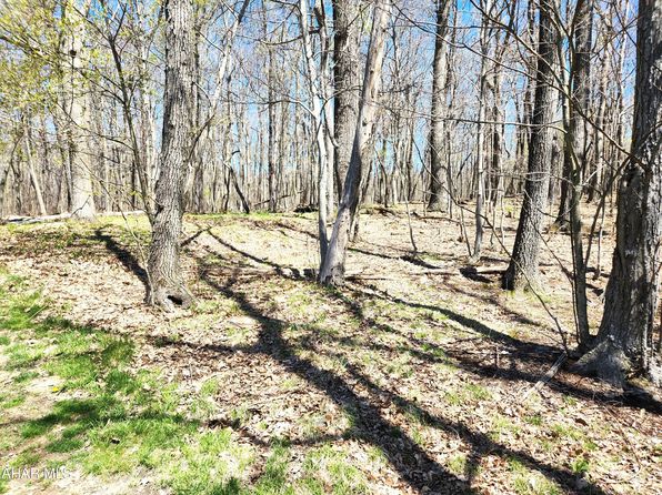 2299 Fleegle Rd, Central City, PA 15926