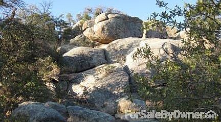 4th image of 903 Ivy Gln