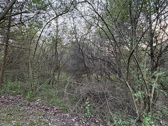 2nd image of 0 Saltwell Rd