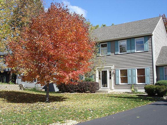 Fall Front