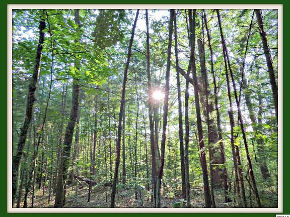 4th image of 4 Powdermill Rd Lot 4
