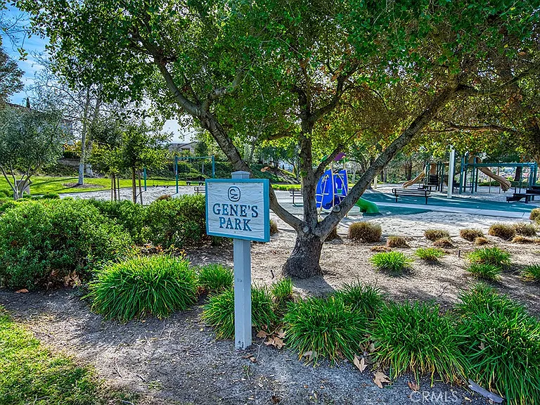 6 Coffeeberry Ct — Photo 41