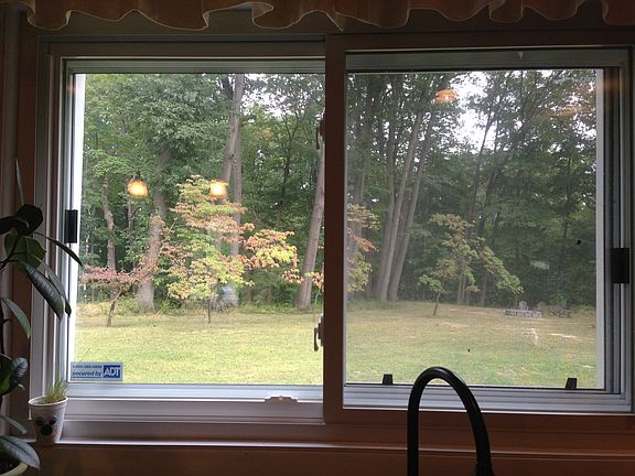 out kitchen window