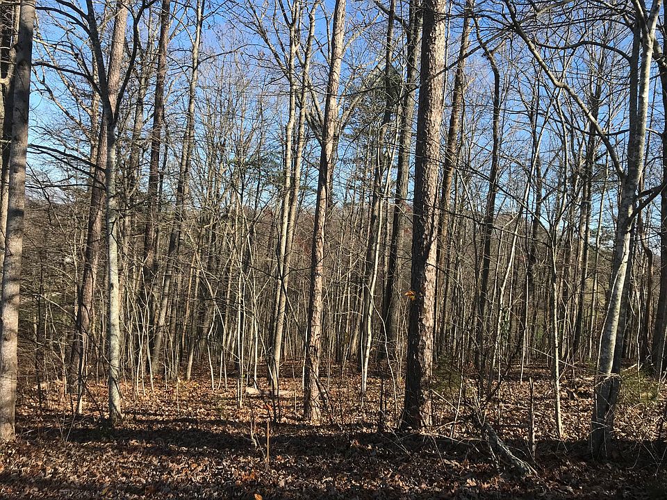 2nd image of LOT 54 Cove Cir
