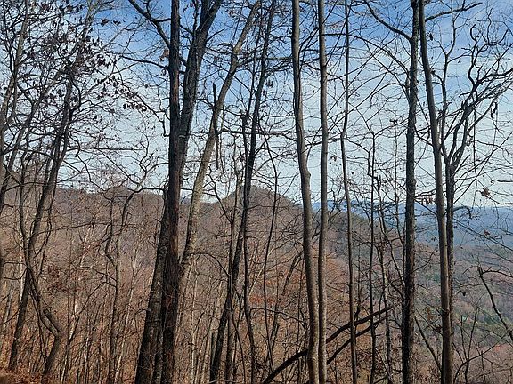 5th image of 0 Lands Creek Rd