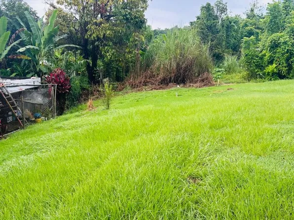 State Highway 647 Km #8, Vega Alta, PR 00692