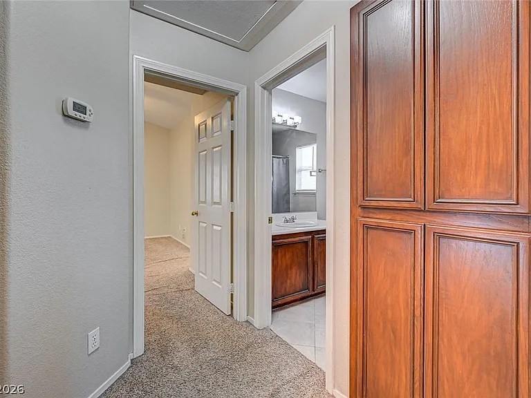317 Greenleaf Glen St — Photo 32