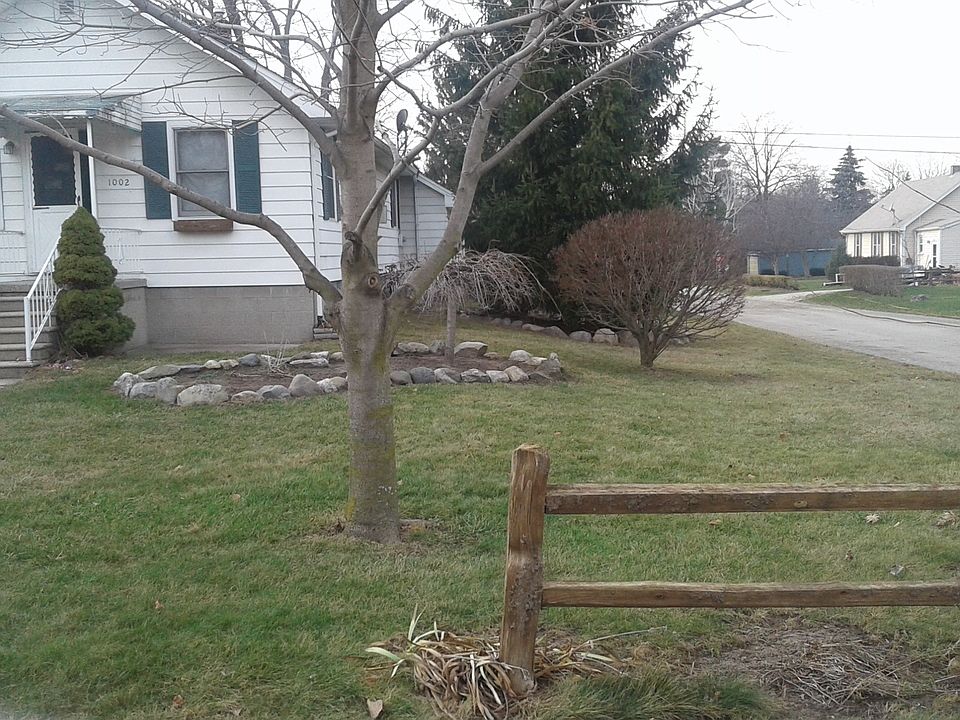 2nd image of 1002 Whiting St