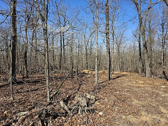2nd image of 000 County Road 255