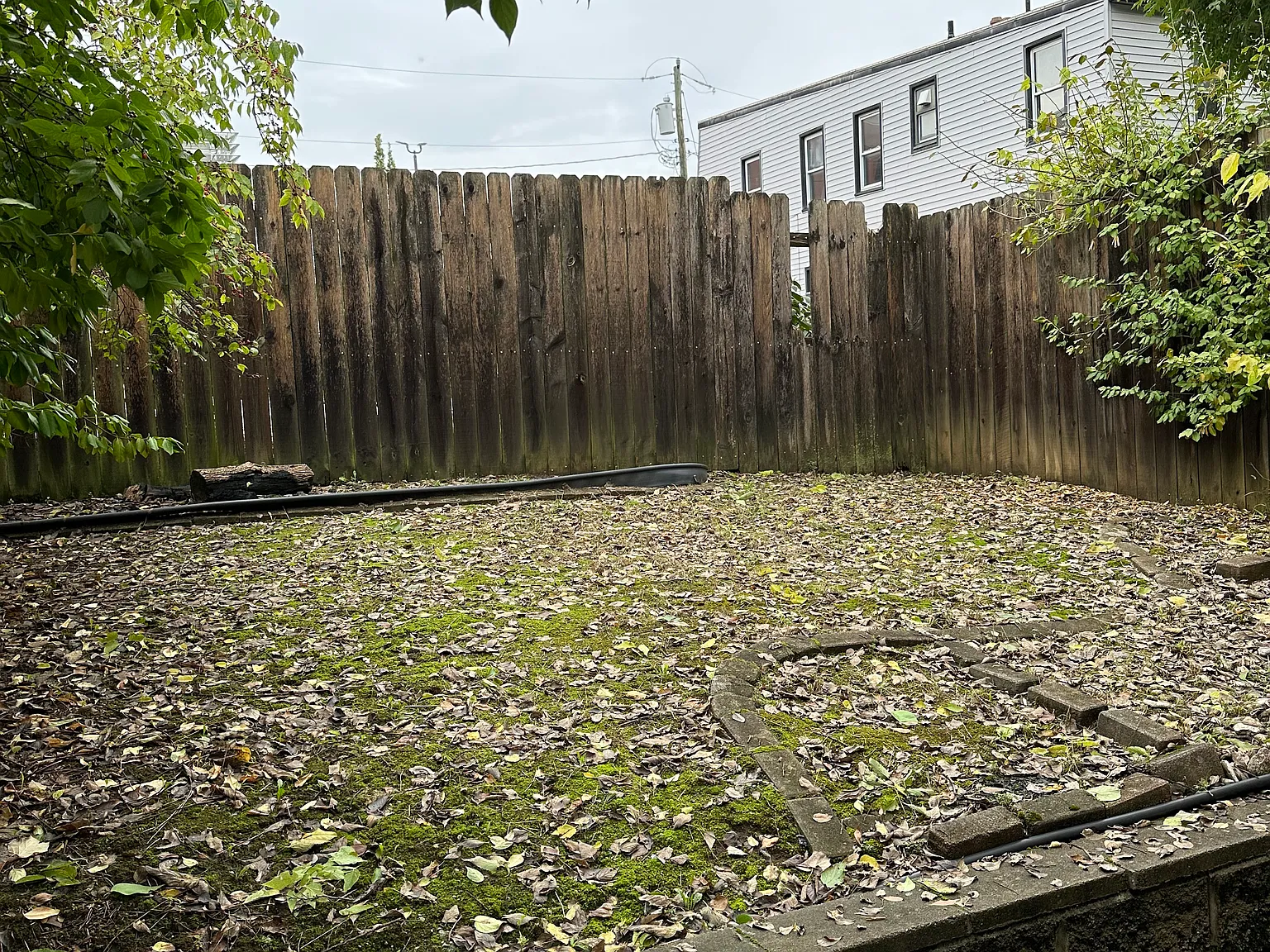 3017 Euclid Ave — Photo 3