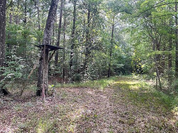 2nd image of 216 Private Road 6046