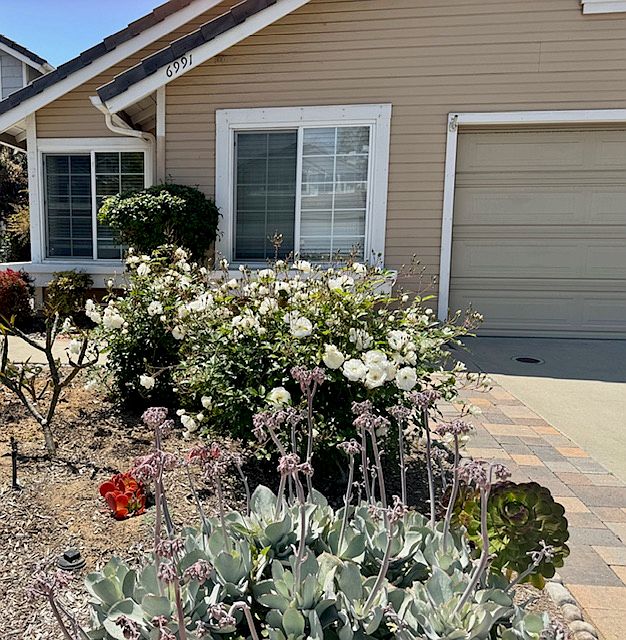 2nd image of 6991 Sandcastle Dr