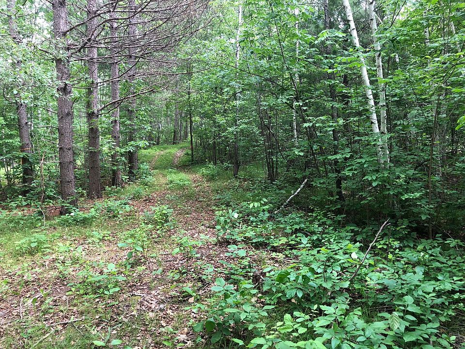 Tbd Turtle Lake Dr NW, Walker, MN 56484 MLS 6357427 Zillow