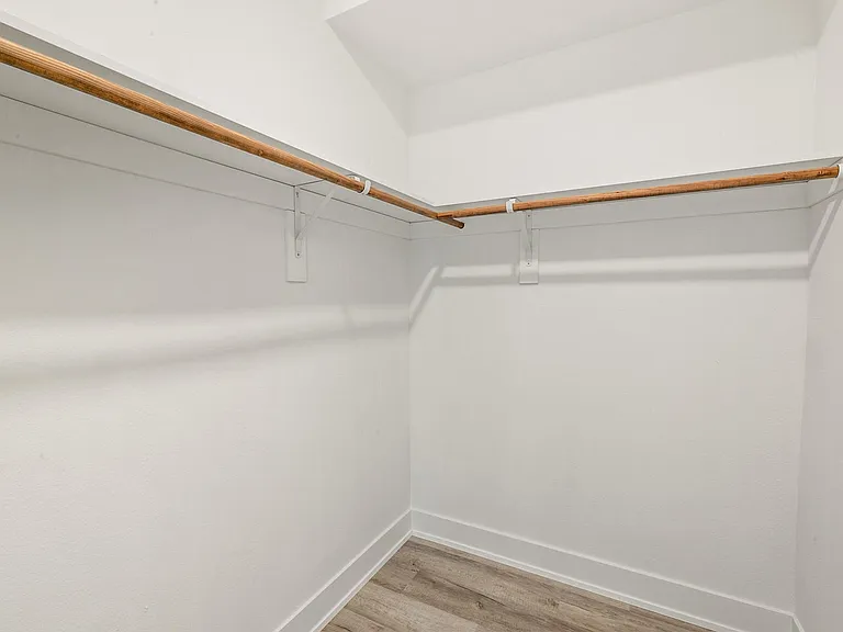 Primary Walk-In Closet
