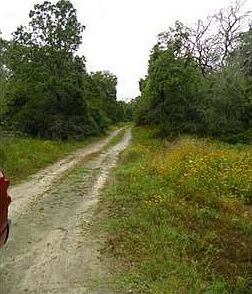 1st image of 12918 S Fork Ln
