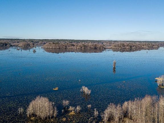 2nd image of 0 Moorhen Cir
