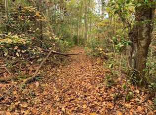 Sapahaw Trl, Whittier, NC 28789