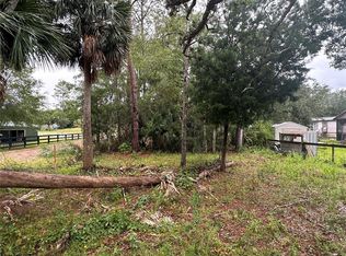 9 7th St NE #4, Steinhatchee, FL 32359