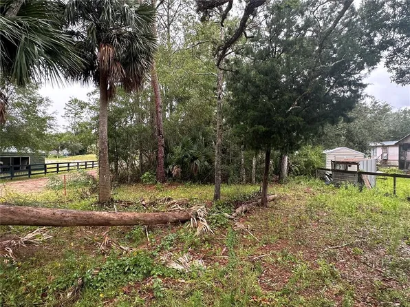 9 7th St NE #4, Steinhatchee, FL 32359