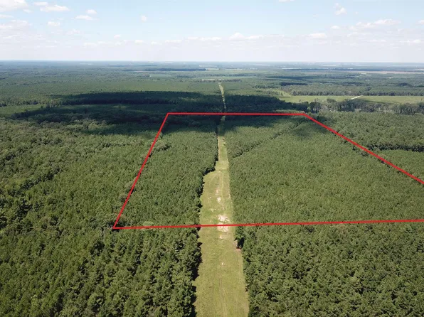 (undisclosed Address), Pine Bluff, AR 71603