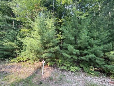6842 White Pine Dr, Stanwood, MI, 49346