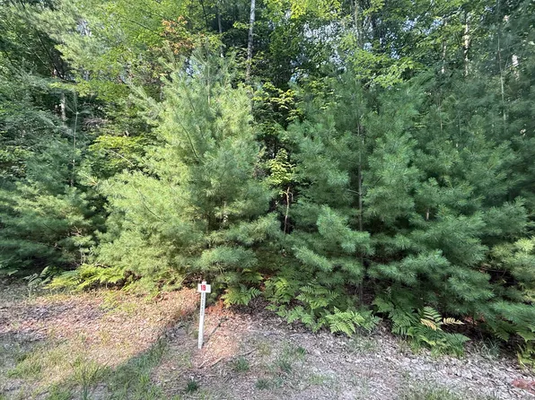 6842 White Pine Dr, Stanwood, MI 49346