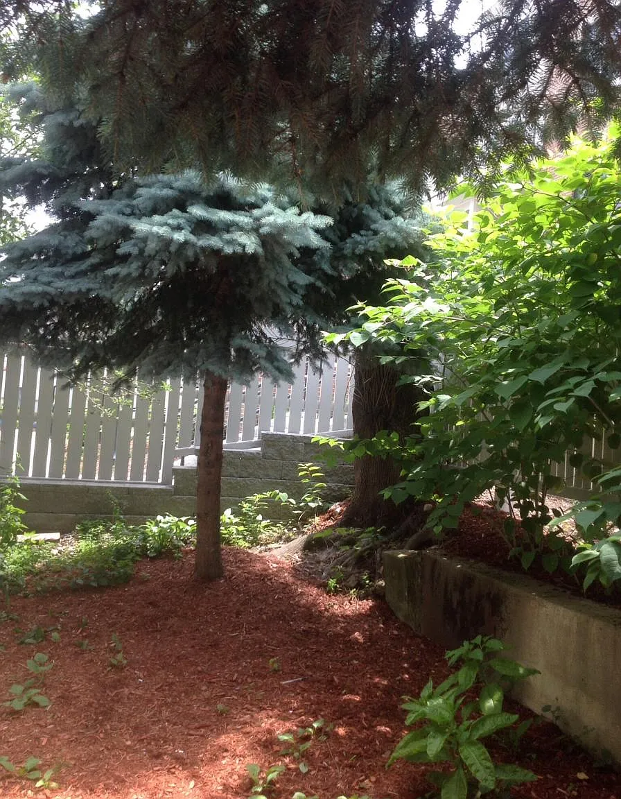 12 Bennett Street — Photo 2