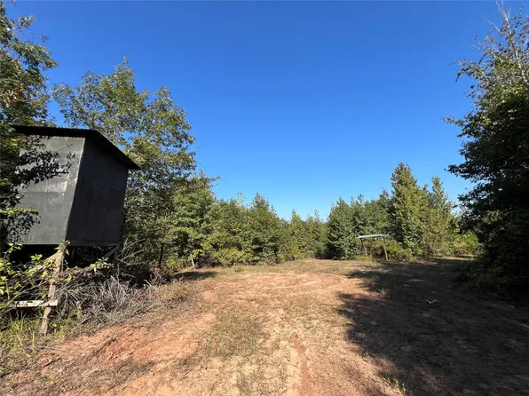 County Road 1579 #1, Avinger, TX 75630