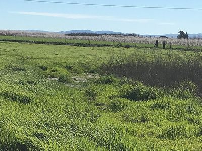 7805 Kiernan Ave, Modesto, CA, 95358