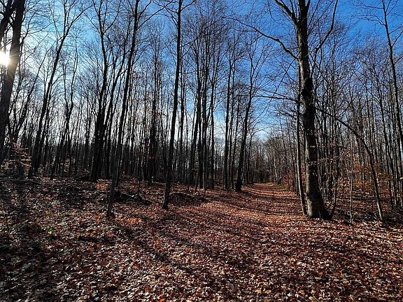 3rd image of Vacant Land Trail Ln #33