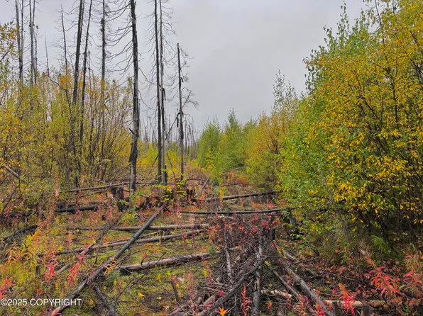 25914 W Rebecca Way, Willow, AK 99688