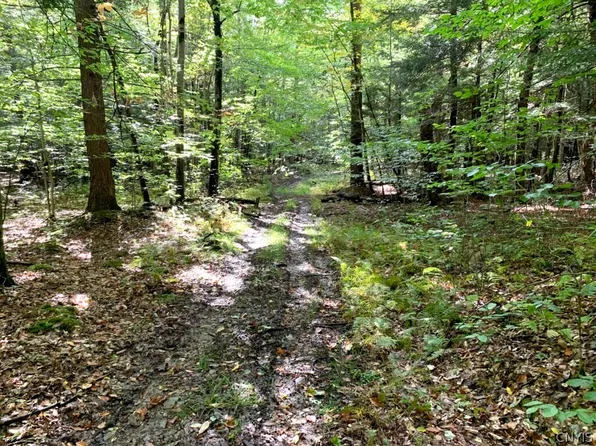 0 County Road 48, Belmont, NY 14813