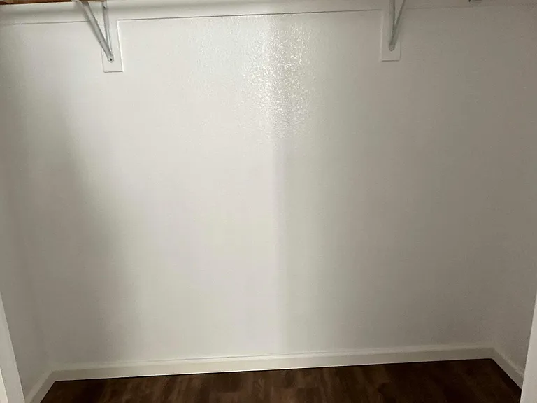 Master walk-in closet