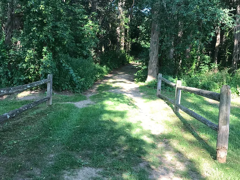 182 Locust Hill Rd — Photo 29