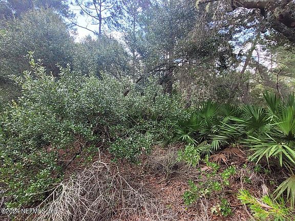 5th image of 221 PONDEROSA PINE Court