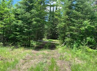 Maple Valley Rd, Saint Helen, MI 48656