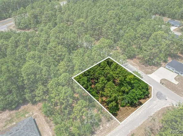 9410 N Peachtree Way, Citrus Springs, FL 34434