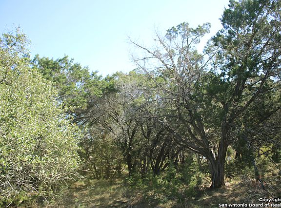 3rd image of 1156 Canyon Lake Dr