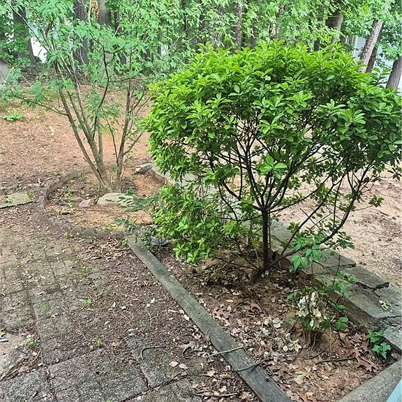 63 Middleton Ct SE — Photo 22