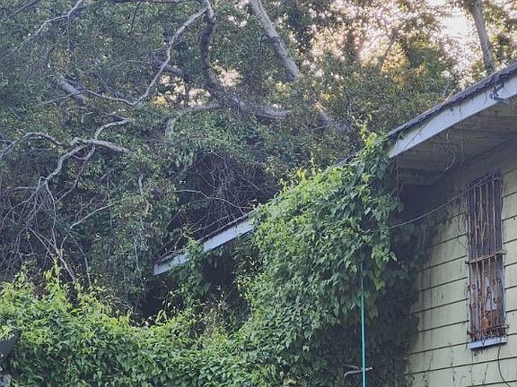 3rd image of 6114 Fairfield Ave