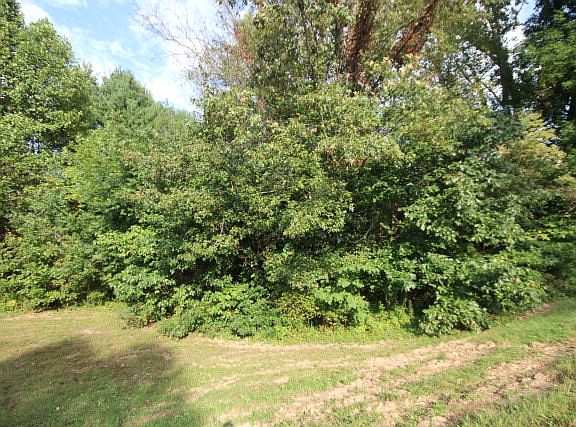 5th image of 916 Briarwood Dr