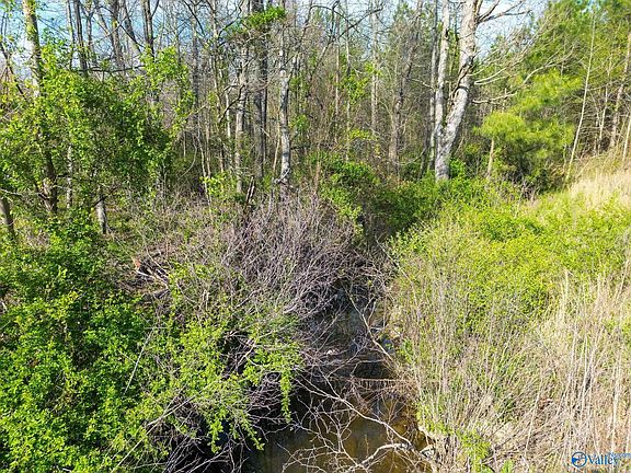 2nd image of County Road 346