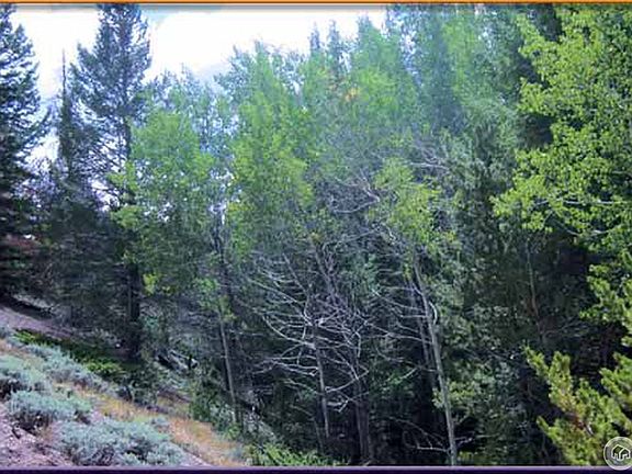 3rd image of Sand Creek Park