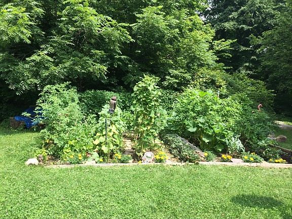 Vegetable garden