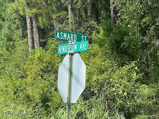2nd image of 0 Asmard St