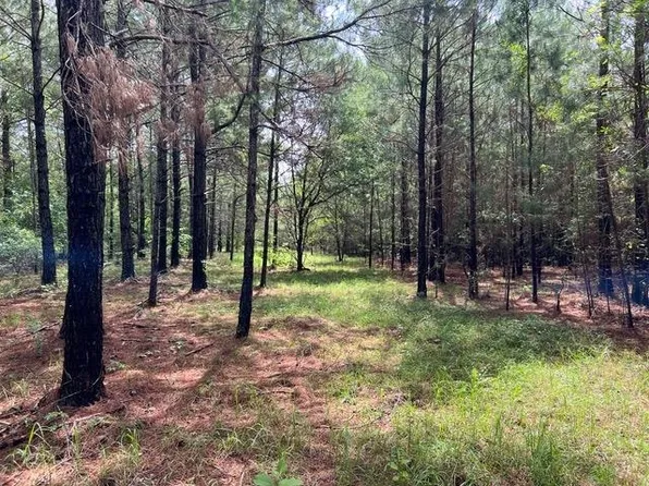 Xx Orchard Rd, Quincy, FL 32351